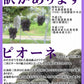 数量限定 広島県産ぶどう 三次ピオーネ 2房 約1kg