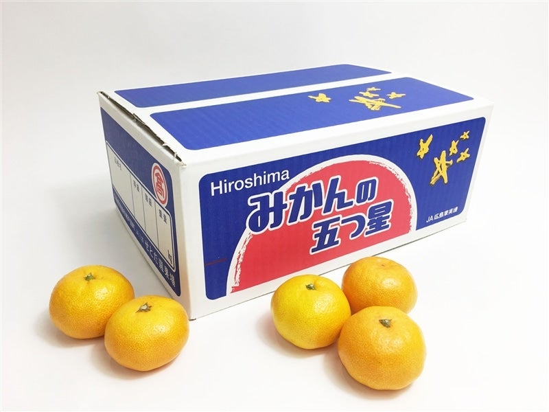 広島県産 瀬戸田の五つ星 みかん 5kg サイズいろいろ 贈答品