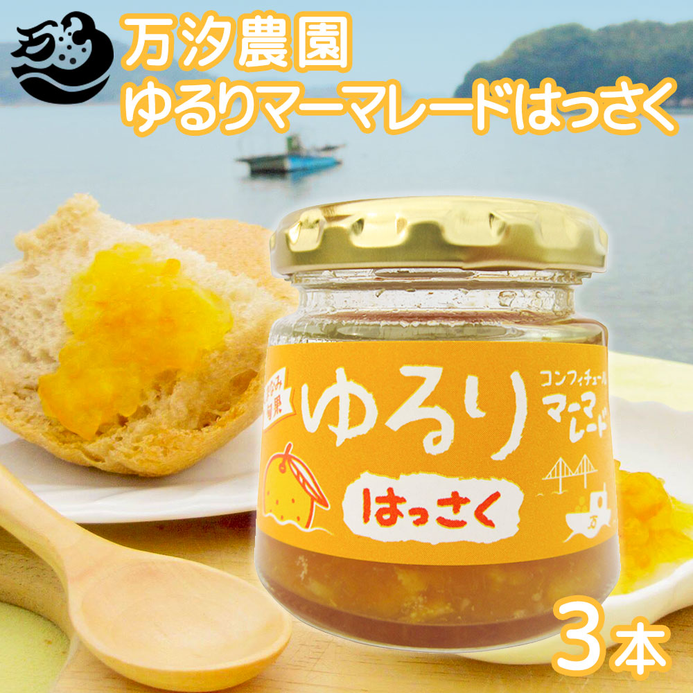 しまなみ旬果 ゆるりマーマレード はっさく 90g 3個セット 万汐農園 送料無料 お取り寄せ ジャム 尾道 向島