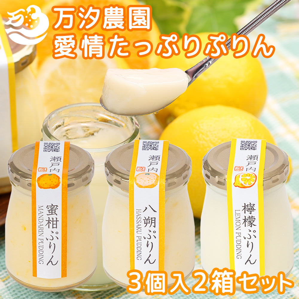 瀬戸内 愛情たっぷりぷりん 1箱3個入 2箱セット 万汐農園 檸檬・八朔・蜜柑 送料無料 お取り寄せ レモン はっさく みかん プリン 尾道 向島