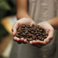 ハワイアンパラダイスコーヒー １０％ コナコーヒー ルアウラテ(ココナッツ＆マカダミア) １９８ｇ ３袋 送料無料 フレーバーコーヒー ハワイ 中挽き お土産