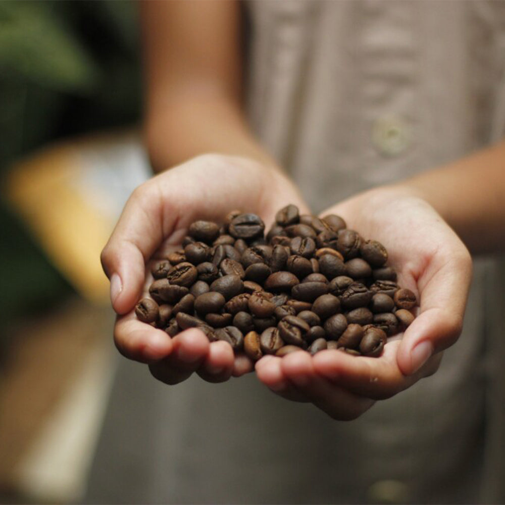 ハワイアンパラダイスコーヒー １０％ コナコーヒー チョコマカダミア １９８ｇ 送料無料 フレーバーコーヒー ハワイ 中挽き お土産