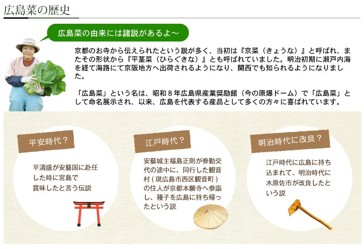 漬け物詰め合せセット 山豊三絶 花 広島菜漬け 国産 送料込み 手土産 ギフト