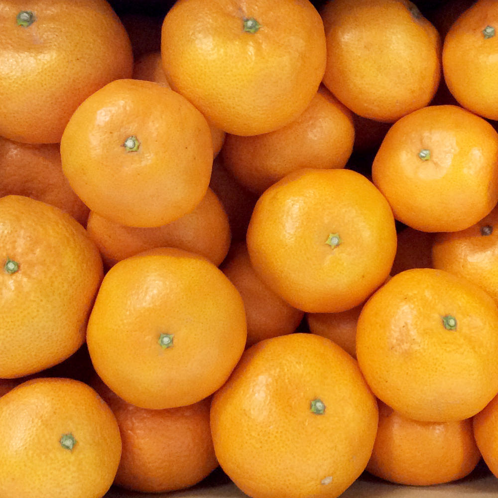 広島県 瀬戸田産 みかん 赤秀M １０ｋｇ 贈答品 送料無料 市場直送