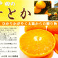 広島県産 せとか ８玉から１２玉 期間限定販売 贈答品 サイズいろいろ　送料無料 市場直送　最上級みかん