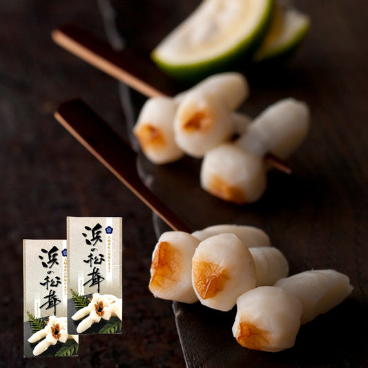 珍味蒲鉾 浜の松茸 10粒入り×10 2箱セット ザ・広島ブランド