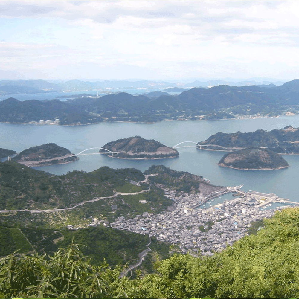 広島県 瀬戸田産 みかん 赤秀M １０ｋｇ 贈答品 送料無料 市場直送