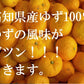 ゆずシャーベット 12個 1個115ml