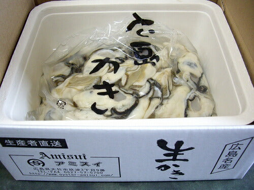 アミスイ 生牡蠣むき身　500gの商品画像