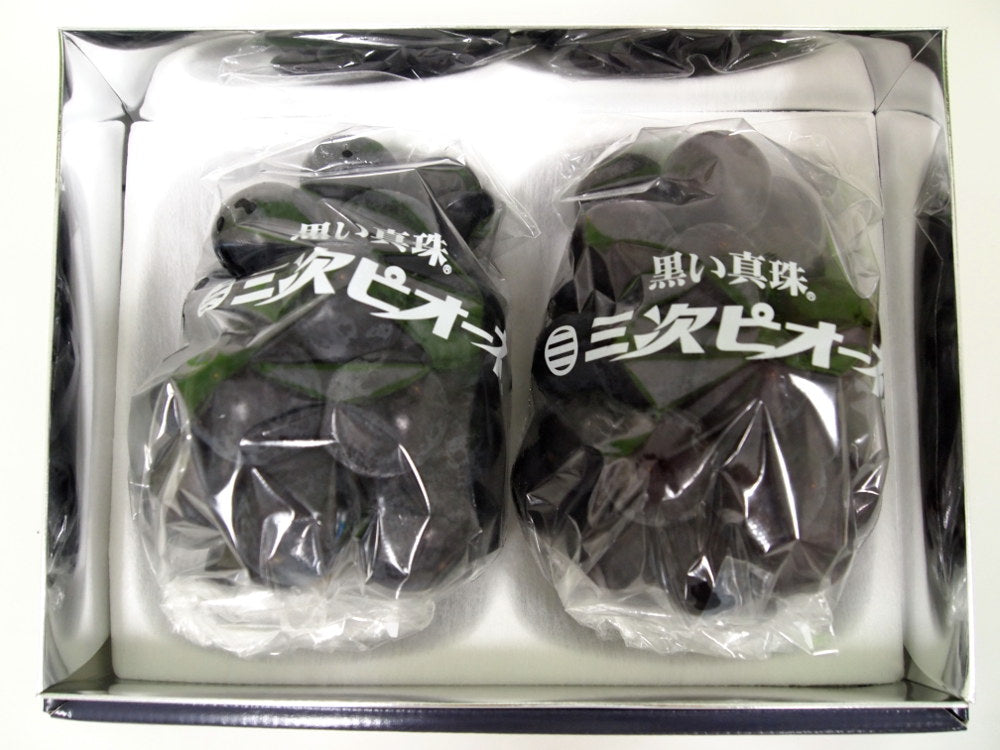 数量限定 広島県産ぶどう 三次ピオーネ 超特産 化粧箱入り 2房 約1kg