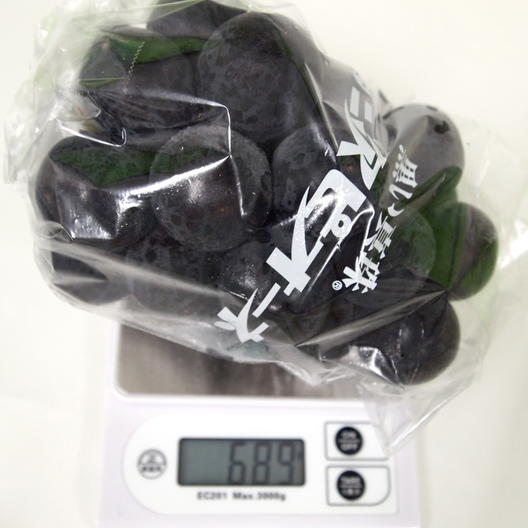 数量限定 広島県産ぶどう 三次ピオーネ 超特産 化粧箱入り 2房 約1kg