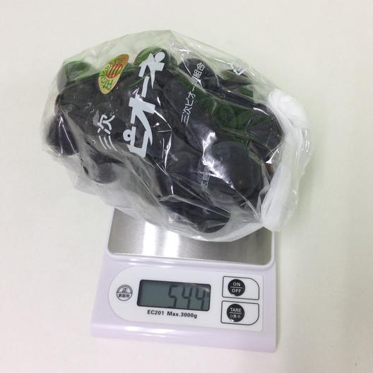 数量限定 広島県産ぶどう 三次ピオーネ 4房 約2kg