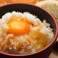 ビンゴソース ６本（３５０ｇ×６） 送料込み ウスターソースがベースに甘口と秘伝の香り ご当地ソース 広島県備後のソース お土産