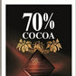 リンツ エクセレンス 70% カカオ チョコレート 100g 2点セット 送料無料 チョコ