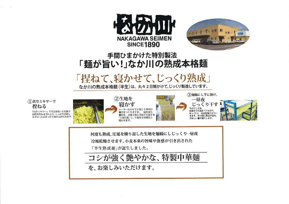 なか川 辛辛つけ麺 広島流 半生熟成麺 2食入り たれ、すり胡麻、赤唐辛子付き