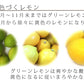 農園直送 広島産 無人島のレモン 約2.5kg 送料込み サイズいろいろ 皮まで食べられます 国産レモン 越智農園