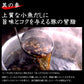 阿藻珍味 尾道ラーメン しょうゆ味 生麺タイプ 2人前スープ付 3箱セット (1食分麺100gスープ55g ご当地ラーメン 拉麵 拉麺 湯麺)