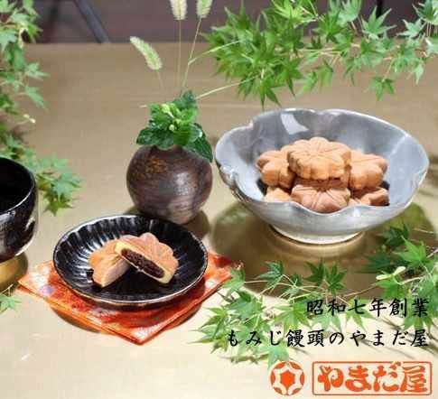 やまだ屋 広島銘菓 もみじ饅頭 10個入り 2箱セット