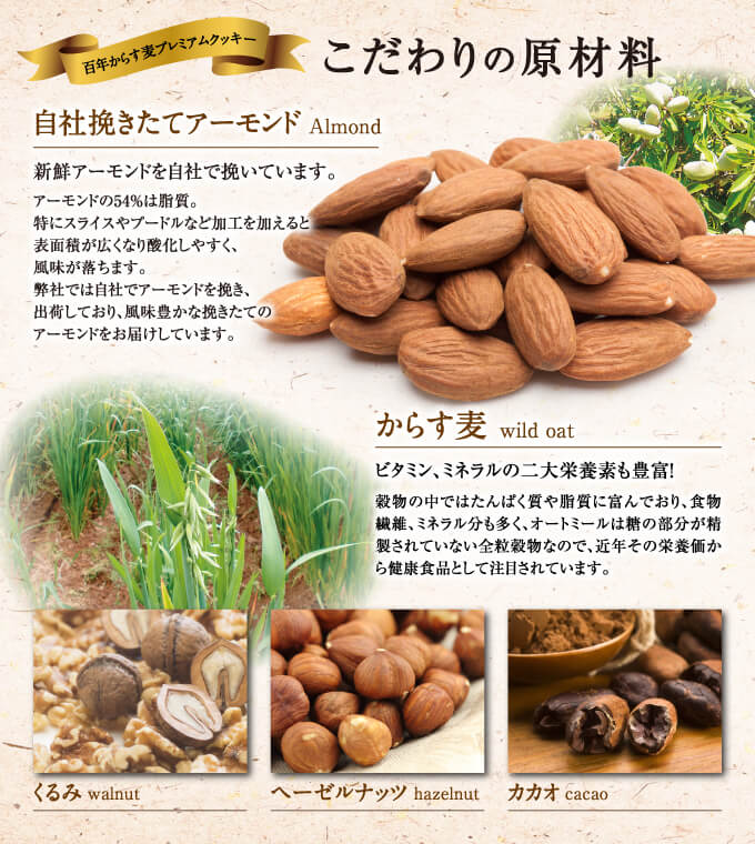 プレミアムからす麦クッキー おりづる缶 2缶セット 1缶10枚入り
