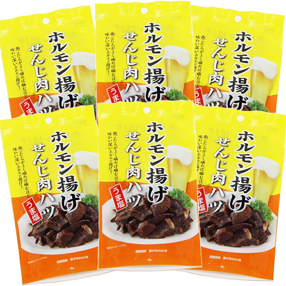 大黒屋食品 せんじ肉 ハツうま塩 40gの商品画像