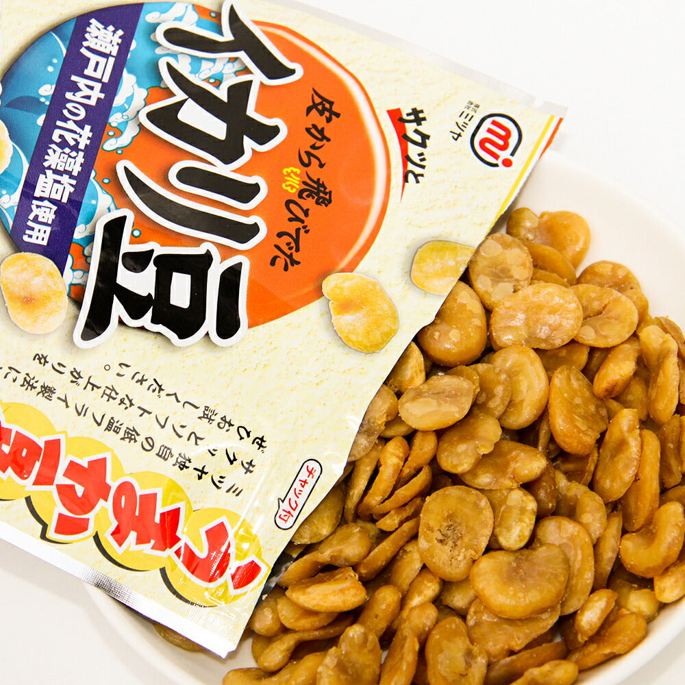 ミツヤ 皮なしイカリ豆(塩味) 80g 4０袋セット 瀬戸内の花藻塩使用 ドライビーンズ