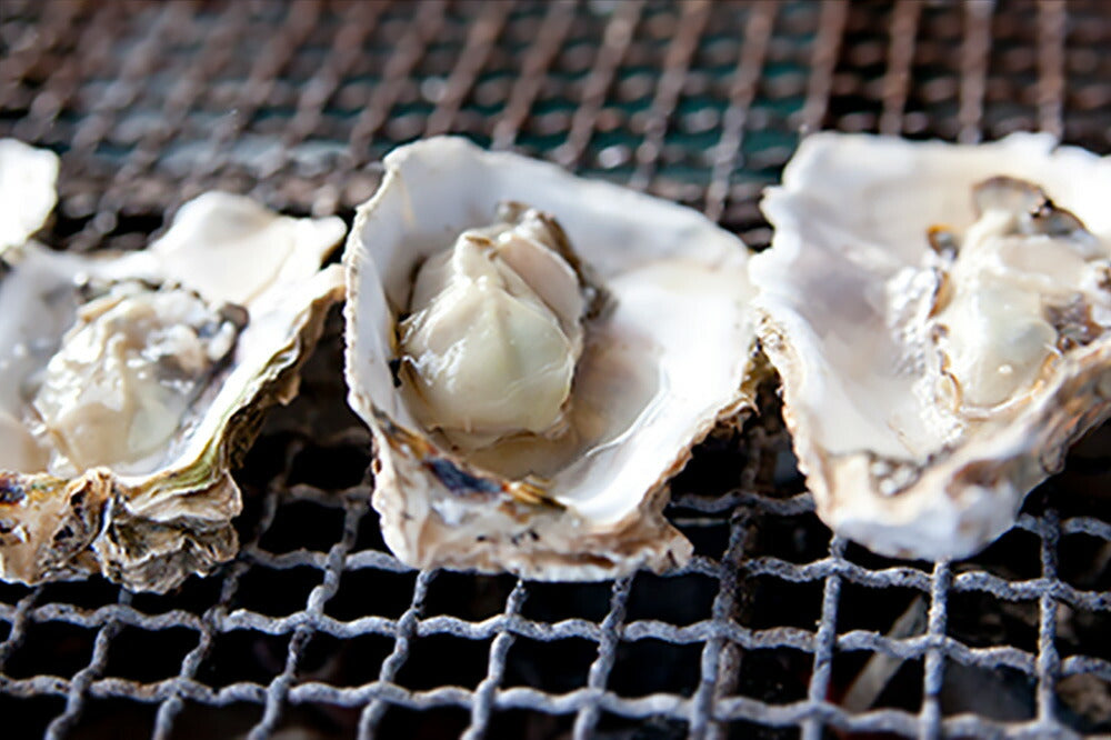 産地直送 広島県産 殻付きかき 2kg(12～16個) 加熱用