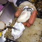 広島県産 冷凍かきフライ 20個 冷凍便 送料込み 宮島 近郊で獲れた大粒かき 送料込み カキ 牡蠣 鍋 ㈱アミスイ