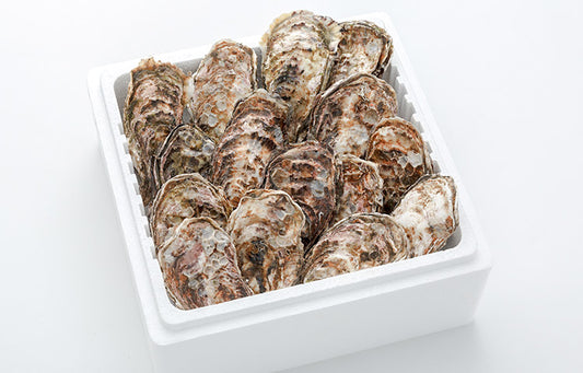 アミスイ 殻付き牡蠣 2kg(12～16個)の商品画像