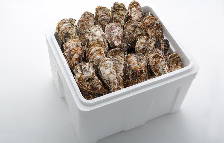 アミスイ 殻付き牡蠣 4kg(24～32個)の商品画像