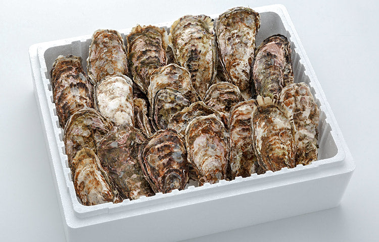 アミスイ 殻付き牡蠣 10kg(60～80個)の商品画像