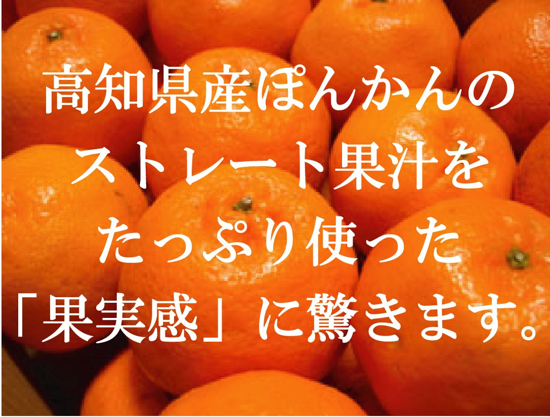 ぽんかんシャーベット 12個 1個115ml